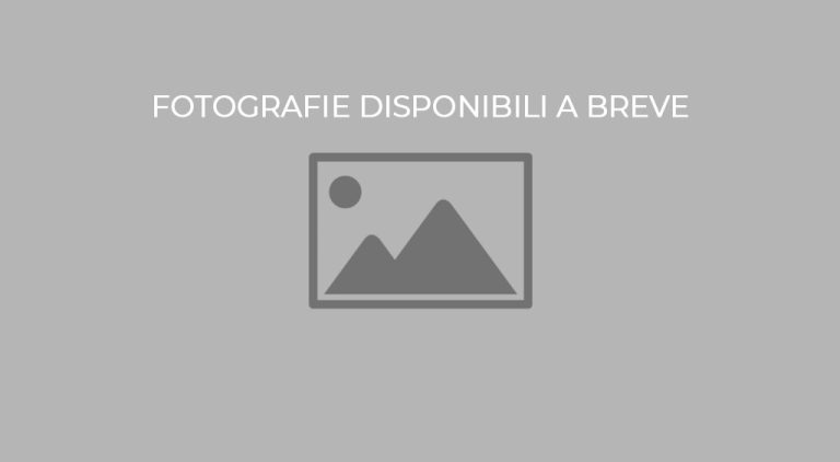 Fotografie disponibili a breve